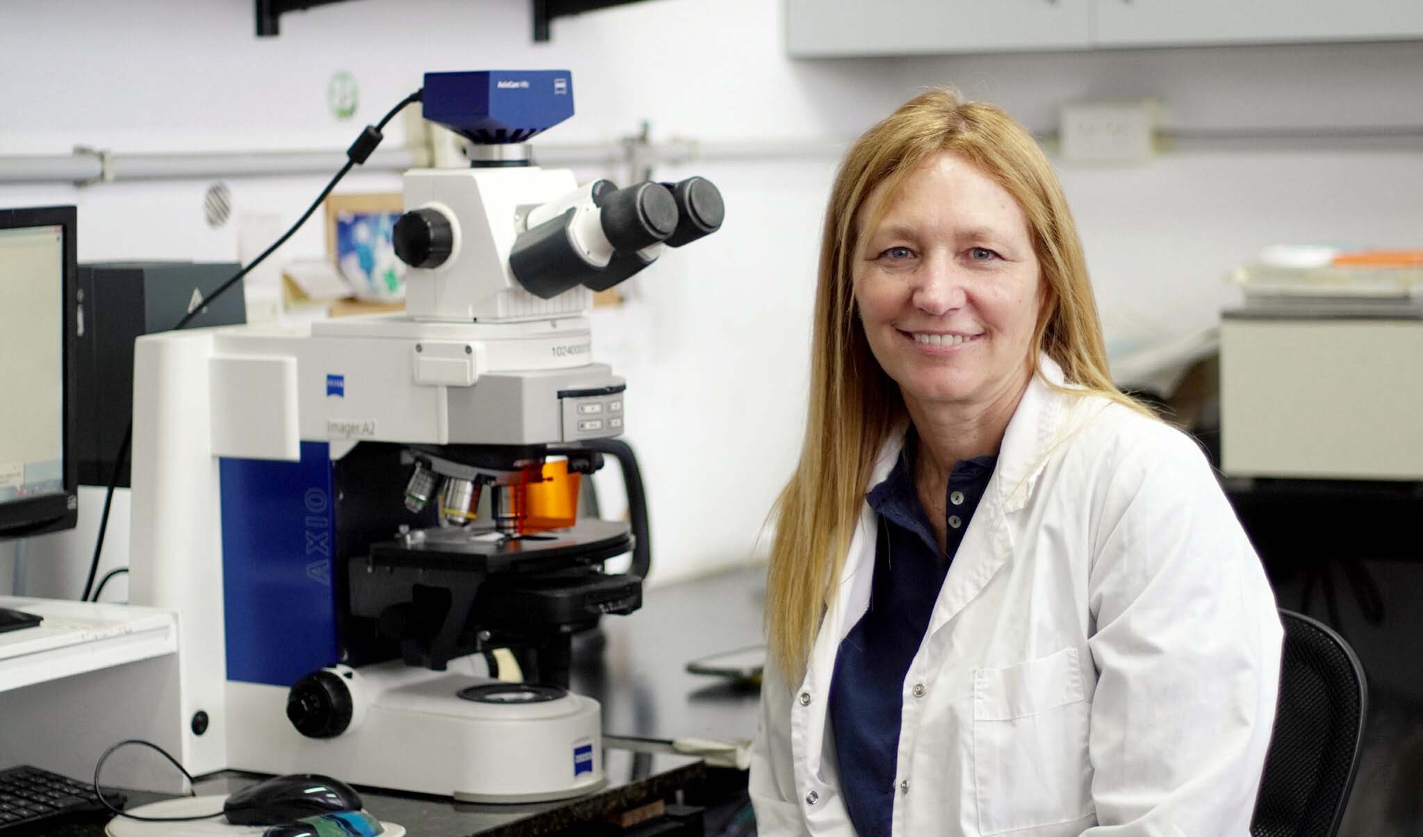 Estrés abiótico, el camino hacia la creación de plantas resistentes al calor